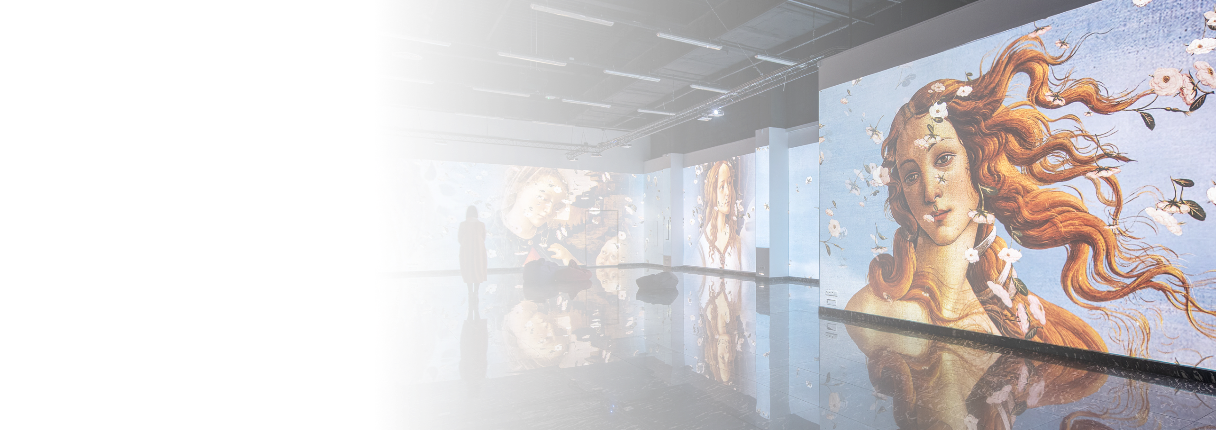 digital installation