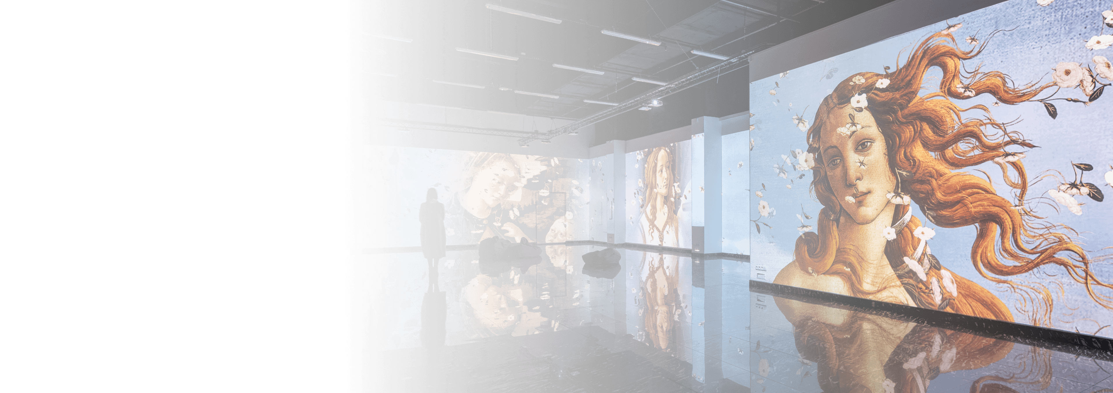 digital installation