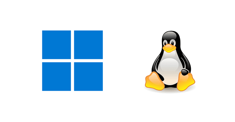Windows and Linux logos