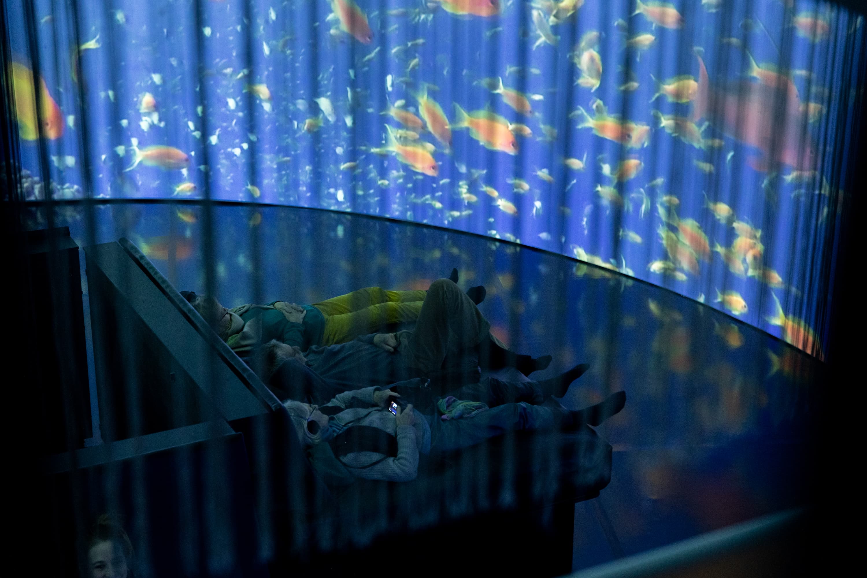 People watching video projection on a circular panoramic screen driven by a Screenberry media server